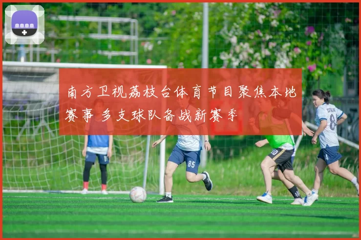 南方卫视荔枝台体育节目聚焦本地赛事 多支球队备战新赛季