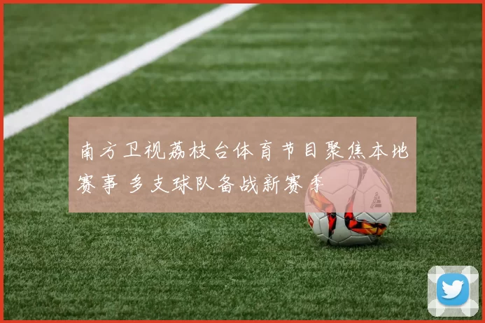南方卫视荔枝台体育节目聚焦本地赛事 多支球队备战新赛季