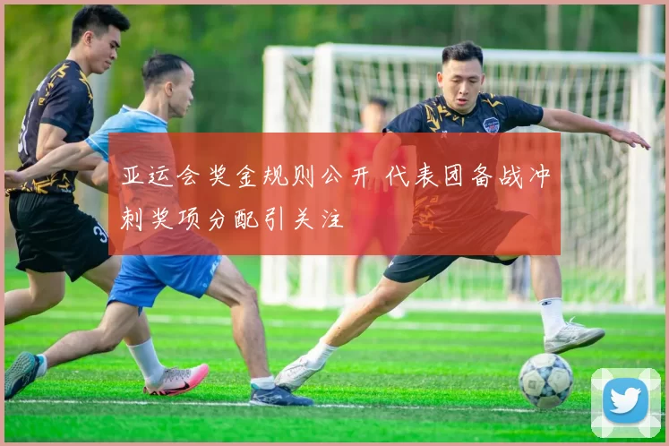 亚运会奖金规则公开 代表团备战冲刺奖项分配引关注