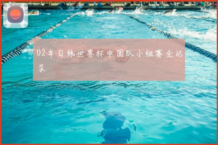 02年日韩世界杯中国队小组赛全记录