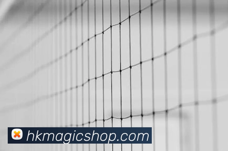 世界杯官方入口平台生态图